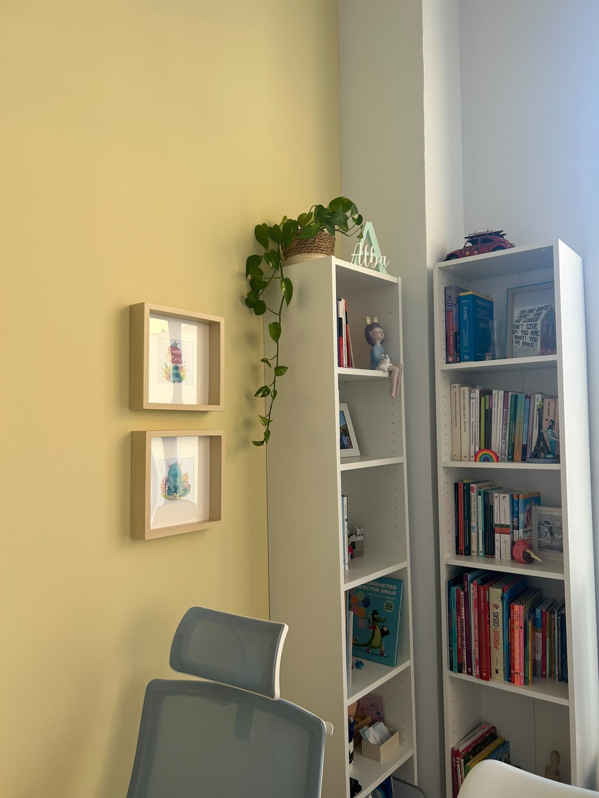 Librerías y cuadros en una consulta de psicología